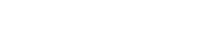 Bravo Solution